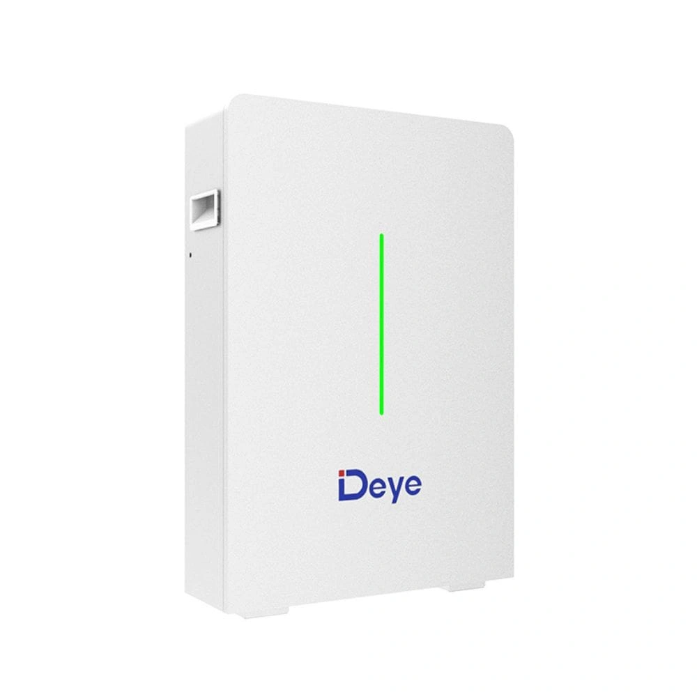 Deye RW-F10