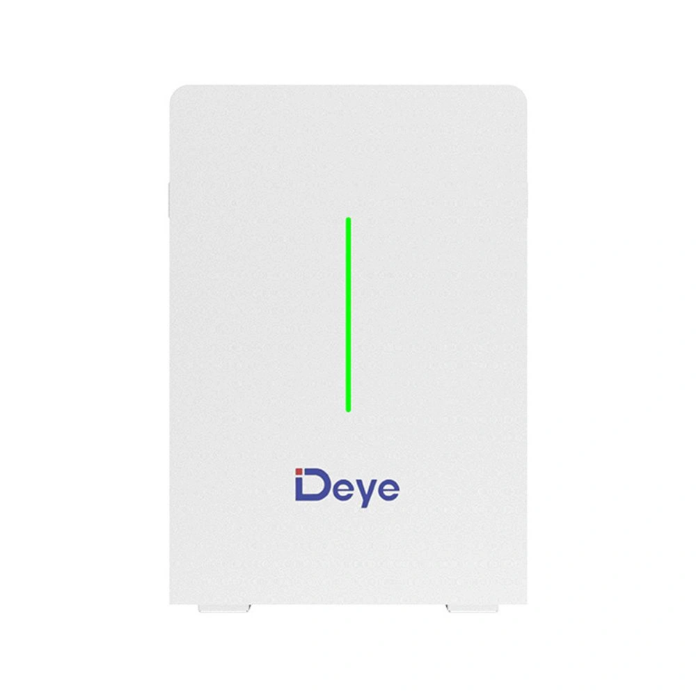 Deye RW-F10