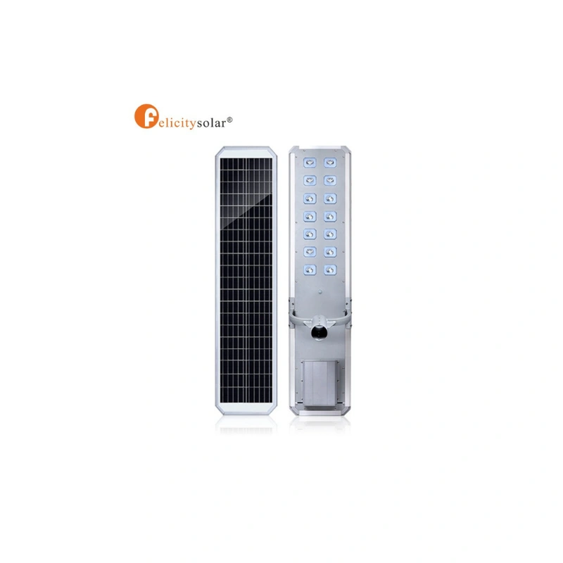 D2-100W-S (100 AH )